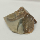 Opalisiertes Versteinertes Holz
